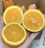 京鮮生 當季鮮橙 5斤裝 單果140g起 生鮮水果中秋禮盒 曬單實(shí)拍圖