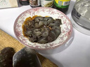 康悅堂 大連即食海參大連底播遼刺參鮮食海參冷凍正宗遼刺參海鮮水產(chǎn) 500g 20-25頭 7a 簡(jiǎn)裝 曬單實(shí)拍圖