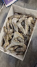 鯨口大開【青島蝦】超大蝦新鮮大蝦冷凍鮮活青島大蝦批發(fā)整箱基圍蝦青蝦 15-17厘米鮮蝦速凍 3斤(凈重) 曬單實(shí)拍圖