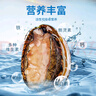 金唐鮮凍鮑魚凈重300g 10粒盒裝帶殼鮑魚肉 貝類海鮮生鮮火鍋燒食材 曬單實拍圖