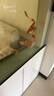 瘋狂水草錦鯉魚飼料2斤上浮中顆粒含蝦肉 魚食錦鯉魚專用飼料魚糧增育成色 曬單實拍圖