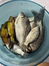 民間藝人大師線組魚線成品主線鯽魚釣魚線組套裝全套配件用品線拉力強魚線 5.4m 1.5號（三個裝） 曬單實拍圖