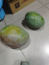 【新鮮上市】正宗攀枝花凱特芒果新鮮水果 帶箱2斤200g+ 曬單實拍圖
