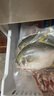 Member's Mark 帶魚(yú)段 1.8kg - 曬單實(shí)拍圖