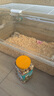 憨憨樂(lè)園倉(cāng)鼠糧倉(cāng)鼠鼠糧刺猬金絲熊花枝鼠糧食食物主糧飼料口糧零食用品 曬單實(shí)拍圖