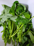 千牛優(yōu)福紅薯葉新鮮專(zhuān)吃葉子地瓜葉嫩尖農家自種食用番薯葉苕尖天然蔬菜 5斤 曬單實(shí)拍圖