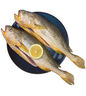 1號會員店【山姆同廠】冷凍寧德三去大黃魚 黃花魚 凈重700g/2條裝 水產(chǎn)魚 曬單實拍圖