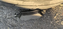 泰明頓（TEXTAR）剎車片后片適用于寶馬118i/120i/125i/218i/X1/X2/MINI 2533104 曬單實(shí)拍圖