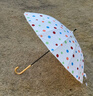 范爺家氛圍韓系長(zhǎng)柄波點(diǎn)雨傘16骨加大抗風(fēng)自動(dòng)加固結(jié)實(shí)雙人傘 曬單實(shí)拍圖