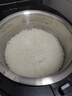 格力（GREE）電飯煲家用2-3-4人電飯鍋真0涂層316L不銹鋼內膽3L小型 IH加熱煮粥柴火飯鍋3015C(貴氣紫)董姐同款 曬單實拍圖