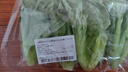 【嫩芽尖尖】生菜苗（長度≤15cm）250g 曬單實拍圖