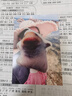 兄弟（brother）DCP-T735DW彩色墨倉自動(dòng)雙面打印機復印掃描一體機輸稿家用辦公照片A4小型無(wú)線(xiàn)手機遠程T725DW升級 T536DW（雙面打印+復印掃描+5G無(wú)線(xiàn)）標配 曬單實(shí)拍圖
