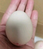 黃天鵝可生食雞蛋 30枚/3.18斤 PLUS定制禮盒裝鮮雞蛋京東自營(yíng) 無(wú)抗生素 曬單實(shí)拍圖