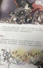 封神演義繪本套裝（1-5）全5冊 3-6歲 狐貍家兒童繪本 小學(xué)生推薦書單 曬單實拍圖