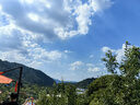 半畝花田【孫穎莎】鮮花純露洗發(fā)水控油蓬松持久留香頭膏去油男女士500g 曬單實(shí)拍圖
