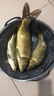 漁之源2025新款硬殼魚(yú)竿包釣魚(yú)包多功能漁具收納包手竿魚(yú)桿傘包一體 【便攜加硬】130*10cm絲光白 主圖款 曬單實(shí)拍圖