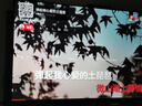 飛科（FLYCO）男士智能剃須刀旋轉式電動(dòng)刮胡刀剃胡須刀便攜款全身水洗三刀頭生日禮物送男友送父親FS923 曬單實(shí)拍圖