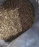 愛肯拿（ACANA）貓糧 海洋盛宴成貓幼貓糧 全價(jià)通用無谷進(jìn)口魚肉糧5.4kg效期26/3 曬單實(shí)拍圖