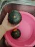 京喜加新鮮貝貝南瓜生鮮新鮮蔬菜減肥減脂早餐沙拉必備 【嘗鮮裝】 300g 曬單實(shí)拍圖