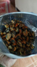 海藻媽媽淡曬海虹干 凈重1斤 250g*2 淡菜干青口貝干 源頭直發(fā) 海鮮干貨  曬單實拍圖