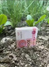 曼秀雷敦 新樂敦眼藥水復(fù)方門冬維甘滴眼液13ml*2盒眼疲勞眼干眼澀視力模糊干眼癥抗疲勞紅血絲熬夜玩手機(jī) 曬單實(shí)拍圖