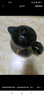 康佳（KONKA）養生壺 煎藥壺 中藥壺熬藥罐 5L全自動(dòng)陶瓷燉藥鍋電子藥煲煎藥機 家用湯鍋 KJYH-WHG456 曬單實(shí)拍圖