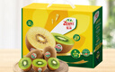 佳沛（zespri）綠奇異果16粒禮盒單果約86-103g 中秋水果禮盒 獼猴桃 曬單實(shí)拍圖