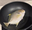 翔泰 海南金鯧魚(yú)凈重900g 2條裝  魚(yú)類(lèi)生鮮 火鍋食材 海鮮水產(chǎn) 中秋 曬單實(shí)拍圖
