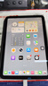Apple/蘋果 iPad mini (A17 Pro) 8.3英寸 平板電腦(256G WLAN版/mini7/MXNA3CH/A)深空灰色 資源機(jī) 曬單實(shí)拍圖