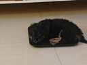 貝初眾狗窩保暖貓窩狗墊子狗床大中小型犬四季通用狗睡墊貓狗窩寵物床 黑灰色 M-60*45CM【建議15斤內】 親膚面料 【舒適透氣】 曬單實(shí)拍圖