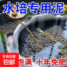 碗蓮銅錢(qián)草專(zhuān)用泥免洗水草泥不渾水不粉化魚(yú)缸水培植物碗蓮專(zhuān)用泥 水培專(zhuān)用扎根砂 1380g【460g/包】 曬單實(shí)拍圖