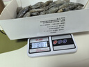 蝦有蝦途青島大蝦 超大號青蝦鮮蝦海蝦基圍蝦鮮冷凍生鮮水凍特大15-17cm 15-17厘米整箱 3斤(凈重)  【近期新貨】 曬單實拍圖