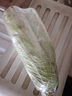 現摘現發(fā) 貴州高山大白菜露天種植火鍋蔬菜正宗農家蔬菜美味口感 炒菜必備2—3斤 曬單實拍圖