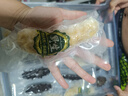 頤口福即食海參鮮食海參營養(yǎng)滋補(bǔ)海鮮特產(chǎn)禮盒送禮 即食黃玉海參1斤 7-10只 曬單實(shí)拍圖