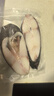 鮮京采 冷凍阿拉斯加黑鱈魚(yú)塊凈重2斤 小袋裝 深海 生鮮 魚(yú)類(lèi) 海鮮 鱈魚(yú) 曬單實(shí)拍圖