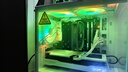 訊景（XFX）AMD RADEON RX 9060 XT 海外版290 V3 16GB 白色 三星顯存 全新電競游戲智能學(xué)習臺式電腦獨立顯卡 曬單實(shí)拍圖