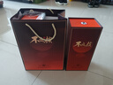 不夜侯仲景不夜侯露酒 仲景集團(tuán)官方正品 35度黃精海參牡蠣 不夜侯露酒 35%vol 580mL 2瓶 【進(jìn)階裝】 曬單實(shí)拍圖