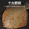 賣(mài)魚(yú)七郎 多寶魚(yú)凈重2.1斤共3條裝 海捕鮮活冷凍比目魚(yú)鰈魚(yú) 生鮮水產(chǎn)魚(yú)類(lèi) 曬單實(shí)拍圖