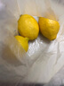 京鮮生 安岳黃檸檬16粒 單果95g-120g 生鮮水果 曬單實(shí)拍圖