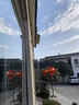 玖燈緣走馬燈大紅燈籠中國(guó)風(fēng)戶外陽(yáng)臺(tái)大門福字宮燈新年春節(jié)元宵節(jié)掛飾 【圓福】流水一對(duì)直徑46厘米 曬單實(shí)拍圖