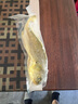GUO LIAN國聯(lián) 三去黃花魚2條 共凈重2斤國產(chǎn)寧德東海大黃魚 海鮮水產(chǎn)生鮮 曬單實(shí)拍圖