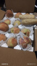 新鮮黃糯白糯黑糯玉米真空包裝速食玉米軟糯香甜代餐早餐美味 白糯玉米240g+ 2根裝 曬單實拍圖