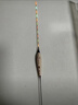 米極江湖BR11/BR11+鰱鳙浮漂新品高靈敏夜光漂魚漂加粗醒目大物硬尾行程漂 BR11+蘆葦黃【5目加粗】 3號(hào)吃鉛6g 曬單實(shí)拍圖