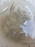 正宗鱸魚(yú)苗批發(fā)魚(yú)苗活體淡水養殖加州鱸魚(yú)苗10公分特大號兇猛大口黑鱸淡水魚(yú)苗 鱸魚(yú)苗6-8cm 30條（送10%左右） 曬單實(shí)拍圖