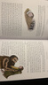 霍比特人Jemima Catlin插圖版 英文原版 The Hobbit  JRR Tolkien Illustrated by Jemima Catlin 曬單實拍圖