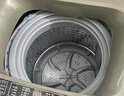 志高（CHIGO）全自動(dòng)洗衣機(jī) 家用小型波輪 洗脫一體機(jī)大容量 公寓宿舍出租房 10KG咖啡金【藍(lán)光洗護(hù)+風(fēng)干潔桶+強(qiáng)電機(jī)】 曬單實(shí)拍圖