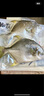 1號(hào)會(huì)員店（One's Member）甄選海南二去金鯧魚去鰓去內(nèi)臟生鮮魚類 海鮮水產(chǎn) 700g/2條裝 曬單實(shí)拍圖