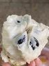 采緹（CAITI）現貨大目鳳梨釋迦果5斤 新鮮番荔枝佛頭果水果孕婦整箱 精選凈重一斤中果（2-3個(gè)） 曬單實(shí)拍圖