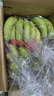 云南高山香蕉 新鮮水果現摘甜糯香蕉 帶花皮 青蕉發(fā)貨 常溫放熟吃 9斤實(shí)惠蕉 曬單實(shí)拍圖