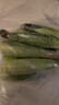 辰實【現(xiàn)貨】農(nóng)村老式玉米 笨玉米 老玉米棒子新鮮帶皮老品種 黃玉米 5斤【推薦】 新鮮發(fā)貨 曬單實拍圖